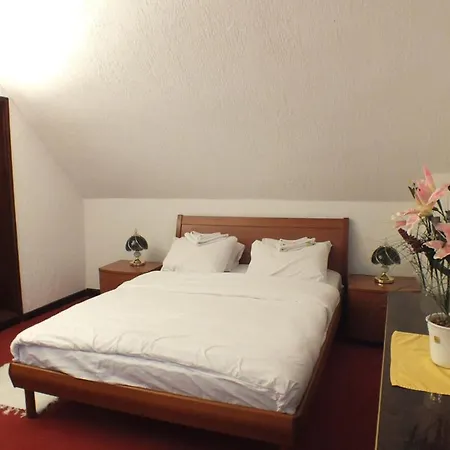 Lejlighedshotel Kopaonik