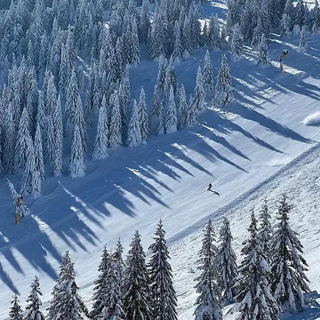 Aparthotel Kopaonik 2*