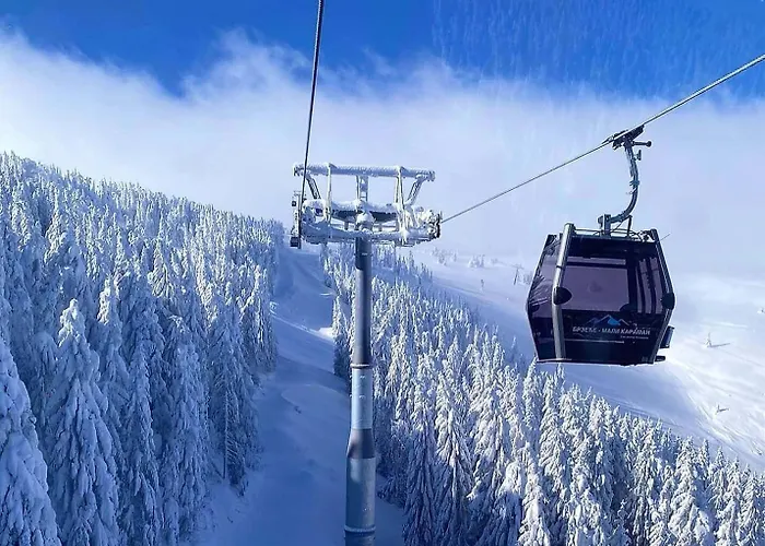 Kopaonik 2* Brzeće